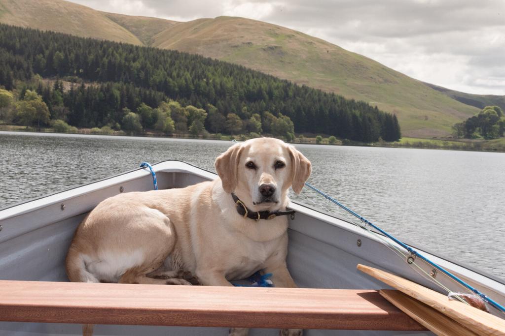 4c391b0b-7afc-4096-82a5-e7555ee0580c copy.jpg